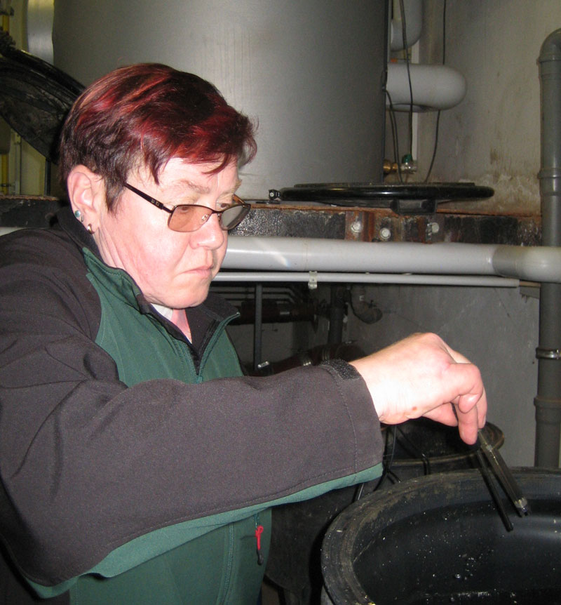 Entnahme einer Wasserprobe